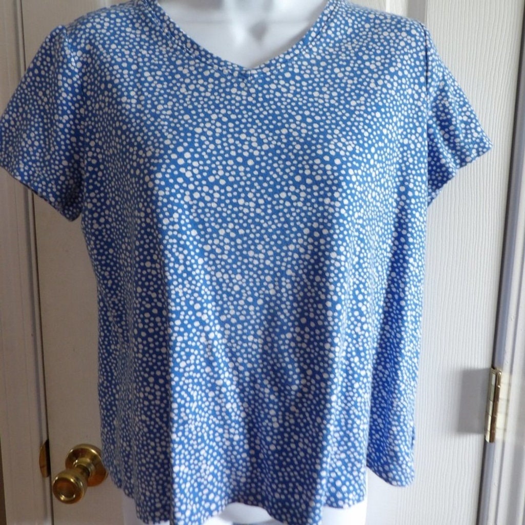 Kim Rogers Blue and White Blouse