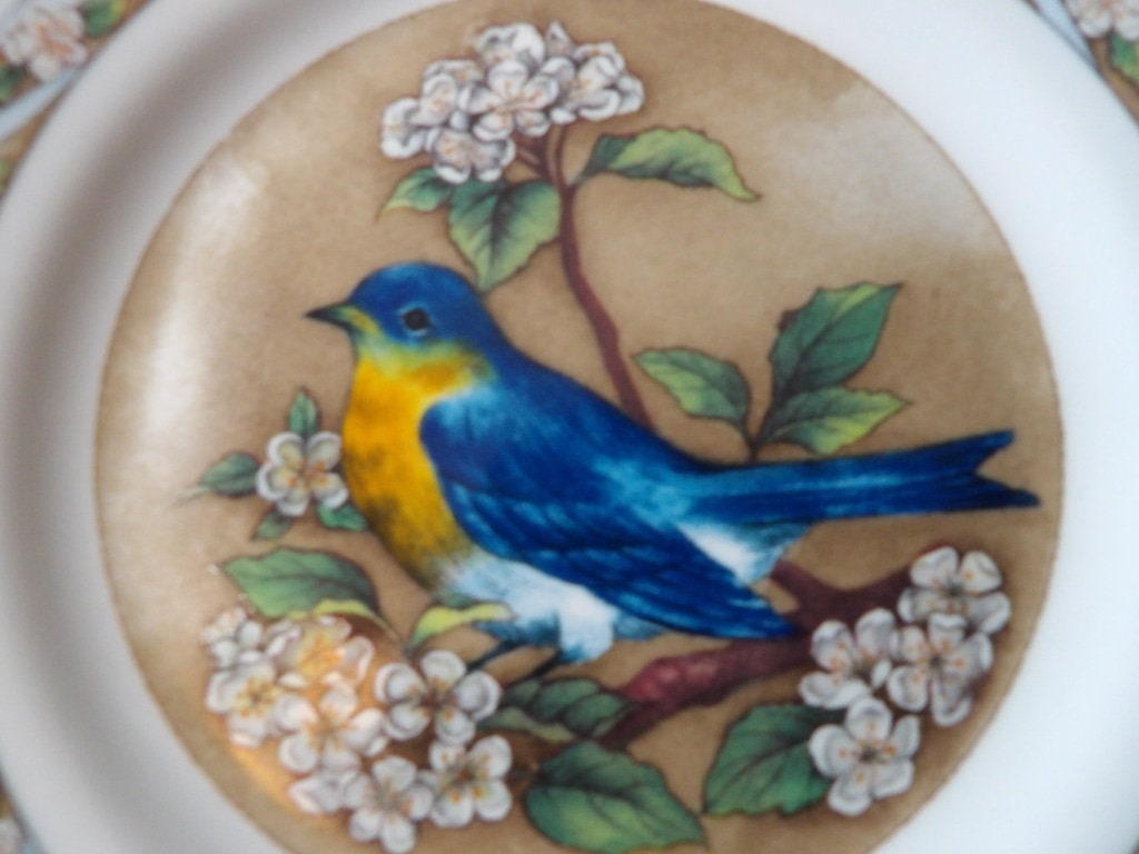 Bradford Exchange "Birds of America" Bluebird Porcelain Collector Plate