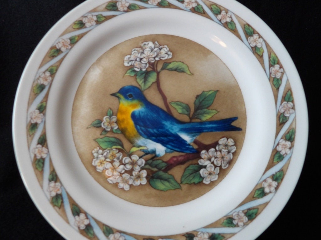 Bradford Exchange "Birds of America" Bluebird Porcelain Collector Plate