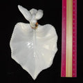 Vintage Porcelain Trinket Dish — Dove with Golden Bells & Wreath